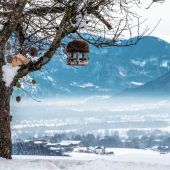 „Römerregion Chiemsee“ auf gutem Weg