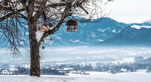 Das Chiemseer Land im Winter – geprägt von der Kultur der Römer, die hier einst lebten. Foto dpa