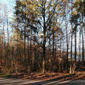 Bürgerinitiative gibt nicht auf