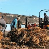 Technischer Defekt war Brandursache