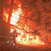 Schuppen im Wald brennt nieder