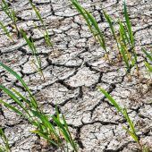 Die Klimadebatte geht weiter