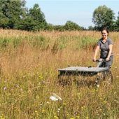 Steine ins Rollen bringen