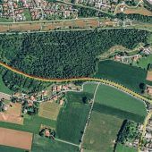 Baumfällungen entlang der Staatsstraße