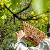 Klimabeauftragter für Bad Aibling