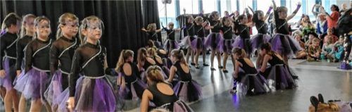 In den Pausen unterhielten die TSC Showflöhe, Showmäuse und die Showkatzen die zahlreichen Besucher.Foto re