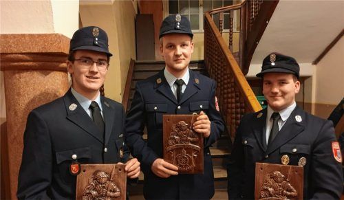 Können stolz auf sich sein: Johannes Buchberger, Johannes Bachleitner und Franz Berger (von links) mit ihren Ehrtafeln, die sie für das Leistungsabzeichen in Gold erhalten haben.Foto re
