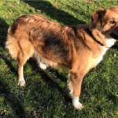 Schüchtern, aber liebevoll