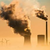 Den Kopf nicht mehr in den Sand stecken