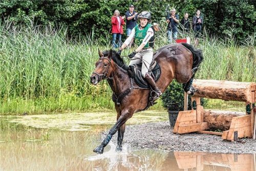 Szene von der EM im niedersächsischen Westerstede: Katharina Schedel auf Carla (mit Bundesadler auf der Kruppe) beim Wassersprung.Foto Schönlinner