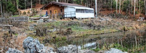 Unter anderem am Seerosengarten leisten die Mitglieder des Fischereivereins Gemeinde Bad Feilnbach nach Kräften einen Beitrag zum Arten- und Naturschutz. Die Gemeinde hat nun den Pachtvertrag mit dem Verein für mehrere Gewässer verlängert.Foto strim