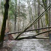 Der Sturm und seine Folgen – Lebensgefahr im Wald