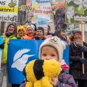 Die Bilanz der Bienen-Retter