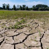 „Klimaschutz vor Arten- und Denkmalschutz“