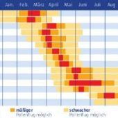 Die Pollen fliegen schon: Das blüht Allergikern