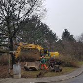 Ärger über Rodung wegen Kitabau
