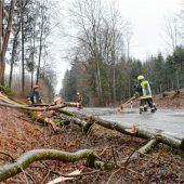 Sturmtief Petra macht‘s gnädig