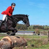 Aschau setzt auf Pferdestärken