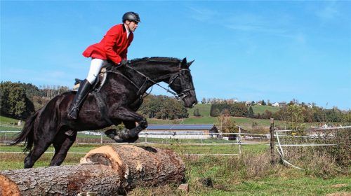 Bis Aschau als „pferdefreundliche Gemeinde“ offiziell anerkannt ist, müssen Gerhard Preintner (unser Bild) und seine Mitstreiter noch viele Hindernisse nehmen.Foto  Privat