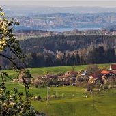 Bezahlbarer Wohnraum für alle?