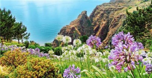 Blühendes Madeira.Foto Getty Images/FTI Touristik