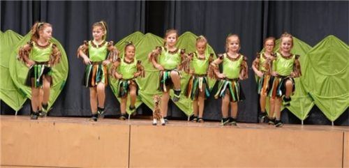 Der kleinste Narrengilde-Nachwuchs, die „Bambinis“, begeisterte mit „Afrika“ das Publikum.