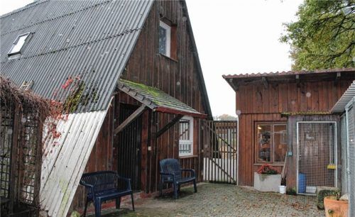 Die bestehende Tierherberge ist seit vielen Jahren in einem jämmerlichen Zustand und erfüllt längst nicht mehr die Erfordernisse eines Tierheims. Jetzt wollen Tierschutzverein und Stadt nicht mehr lockerlassen und ein neues Heim für Tiere auf einem Grundstück am Innkanal zwischen Pürten und Rausching realisieren.Foto  Archiv/Klemm