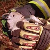 Sturm: Waldfriedhof vorübergehend zu