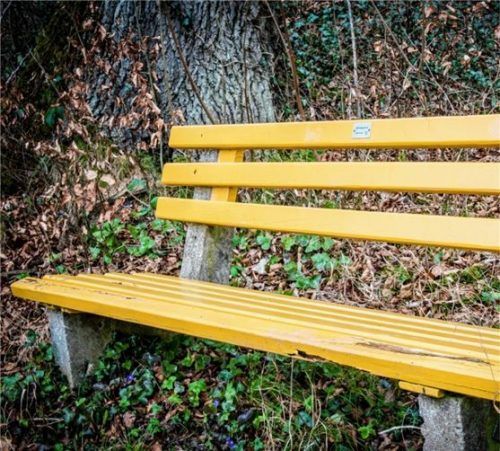 Eines der „Bankerl“ mit ersten Frühlingsblumen.Foto Gerstner