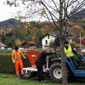 Erfolgreiche Pflanzaktion