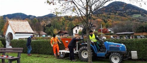 Gemeinsam mit dem Bauhof setzte der Gartenbauverein im Herbst die Blumenzwiebeln.

Foto Martina Watzlowik/Gartenbauverein Brannenburg