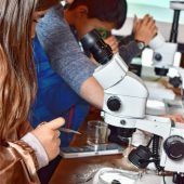 Beliebter Pfadfinder-Lehrgangsort