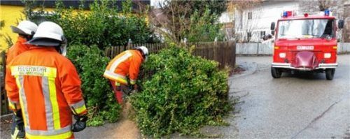 In Eiselfing musste die Feuerwehr unter anderem Baumteile und Sträucher von den Straßen räumen. Foto Reinthaler