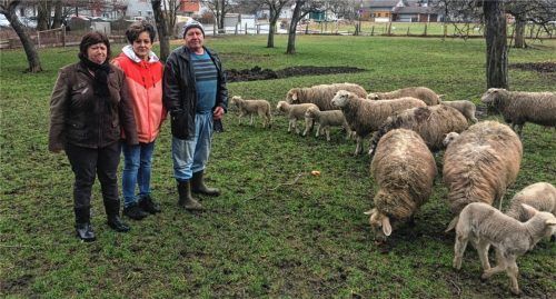 Machen sich große Sorgen um die Schafe an der Kolbermoorer Staatsstraße (von links): Sophia Schüller, Schaffreundin Manuela Faltermeier und Schafbesitzer Georg Schüller. Fotos weinzierl, re