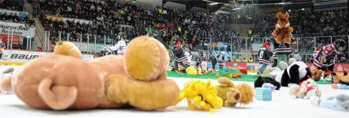 Nicht immer auf Kuschelkurs waren Stadt Rosenheim und Starbulls, wenn es ums Eisstadion ging. Aus Kostengründen wurde der Puck stets flach gehalten – und damit ein Neubau auf Eis gelegt. Jetzt läuft gerade die nächste Sanierungs- und Modernisierungswelle an. Foto Ziegler