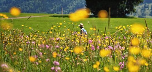 Nicht mehr als 40000 Übernachtungen verzeichnet Eggstätt – zu wenig, um eine Fremdenverkehrssatzung zu erlassen. Foto dpa