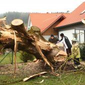 Blitz fällt Esche im Wohngebiet