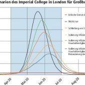 Corona: Welche Strategie ist die richtige?