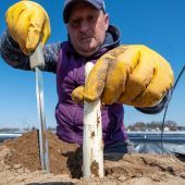 Klimaschützer helfen im Hopfengarten