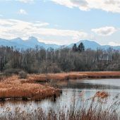 Idylle pur am Tonwerkweiher