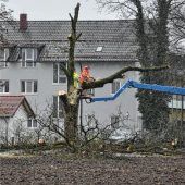 In Feldkirchen Bäume gefällt