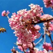 Abflug in  die Natur