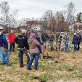 Obst- und Gartenbauverein zeigt, wie man Jungbäume richtig schneidet