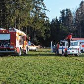 Waldarbeiter am Kopf verletzt