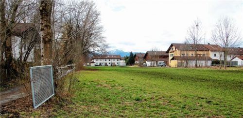 Blick von der Gärtnerstraße, die von der Brückenstraße abgeht, Richtung Süden. Dieses Gelände soll nachverdichtet werden, samt Straßen. Foto riediger