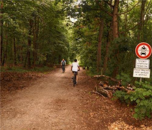 Die 50 Meter breite Schilcherlinie, Naherholungsgebiet und Schutzstreifen zwischen Wohnen und Gewerbe, bleibt erhalten. Foto  Archiv/Grundner