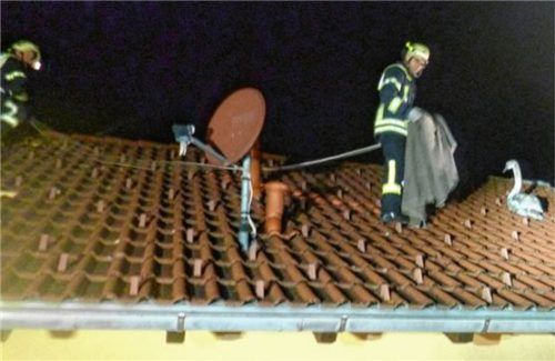 Die Feuerwehr Kiefersfelden rettete den Schwan. Foto RE