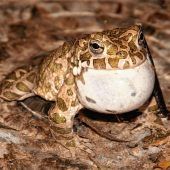 „Naturschutz geht nicht nebenbei“