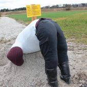 Geburtstags-Gag sorgt für Aufsehen