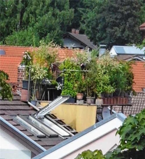 Ein „Schwarzbau“, der auch im Kraiburger Gemeinderat viele Fans hat: der Dachgarten in der Guttenburger Straße, über den acht Jahre nach dem Bau jetzt im Gremium diskutiert wurde.Foto  Privat